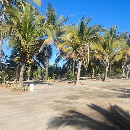 Bungalows Laguna Del Tule 圣帕特里西奥梅拉克 外观 照片